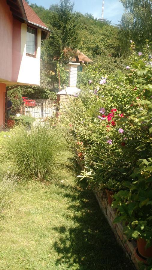 House Annesa Lägenhet