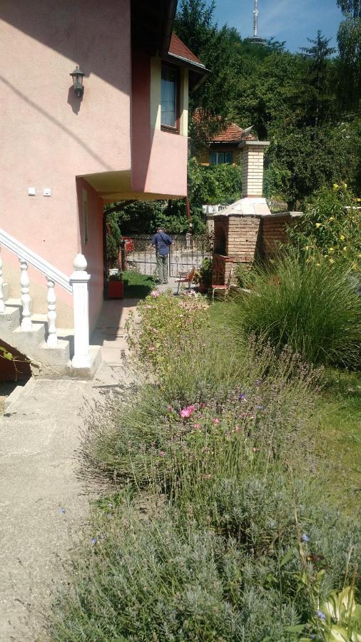 House Annesa Apartment Sarajevo